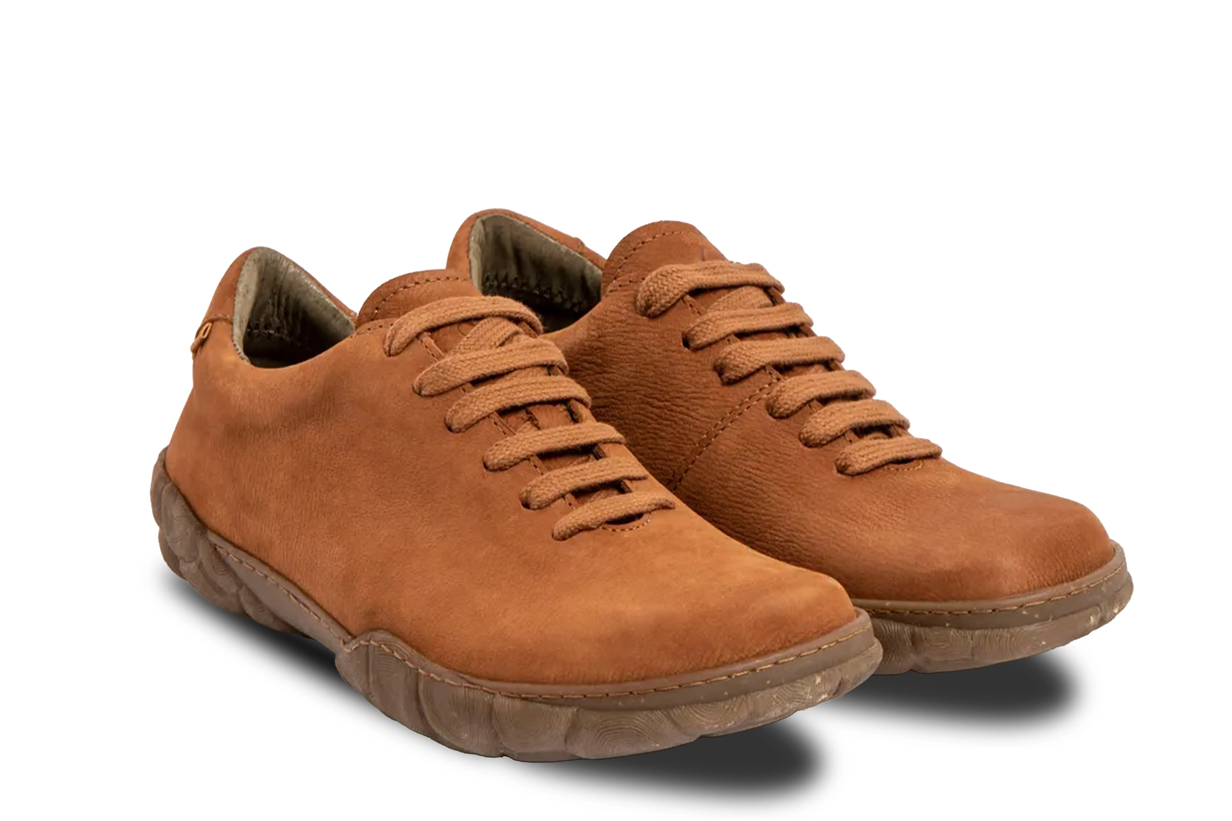 EL NATURALISTA - N5616 - TURTLE