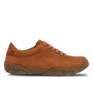 EL NATURALISTA - N5616 - TURTLE