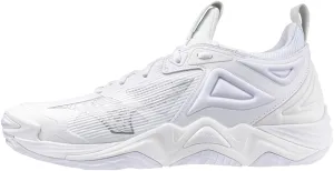 Mizuno Men's Wave Momentum 3 Volleyball Shoe