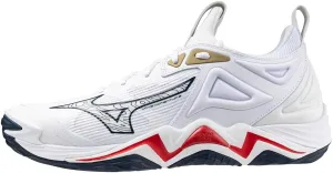 Mizuno Men's Wave Momentum 3 Volleyball Shoe