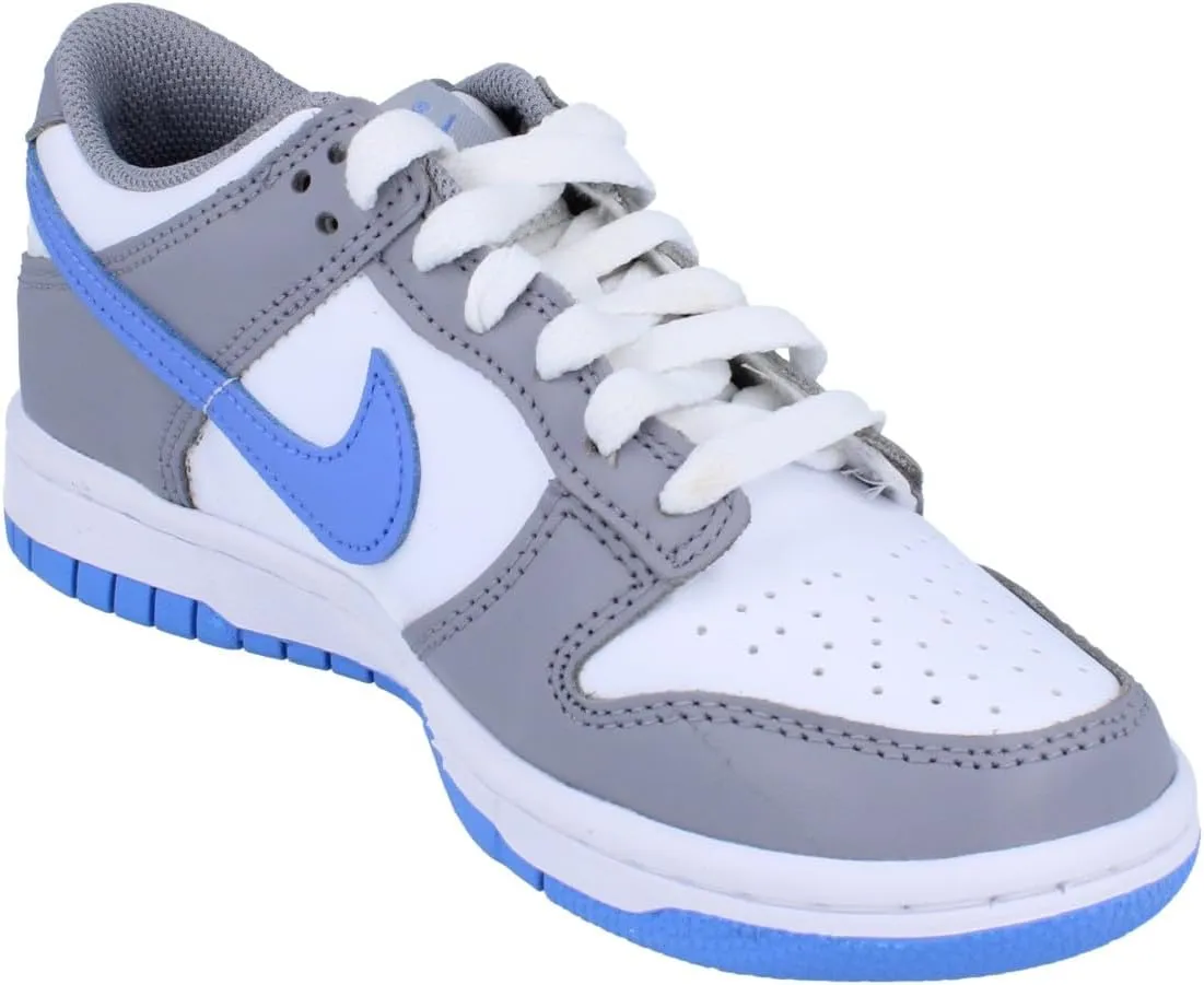 Nike Dunk Low Big Kids' Shoes (FB9109-121, White/Cement Grey/Royal Pulse)