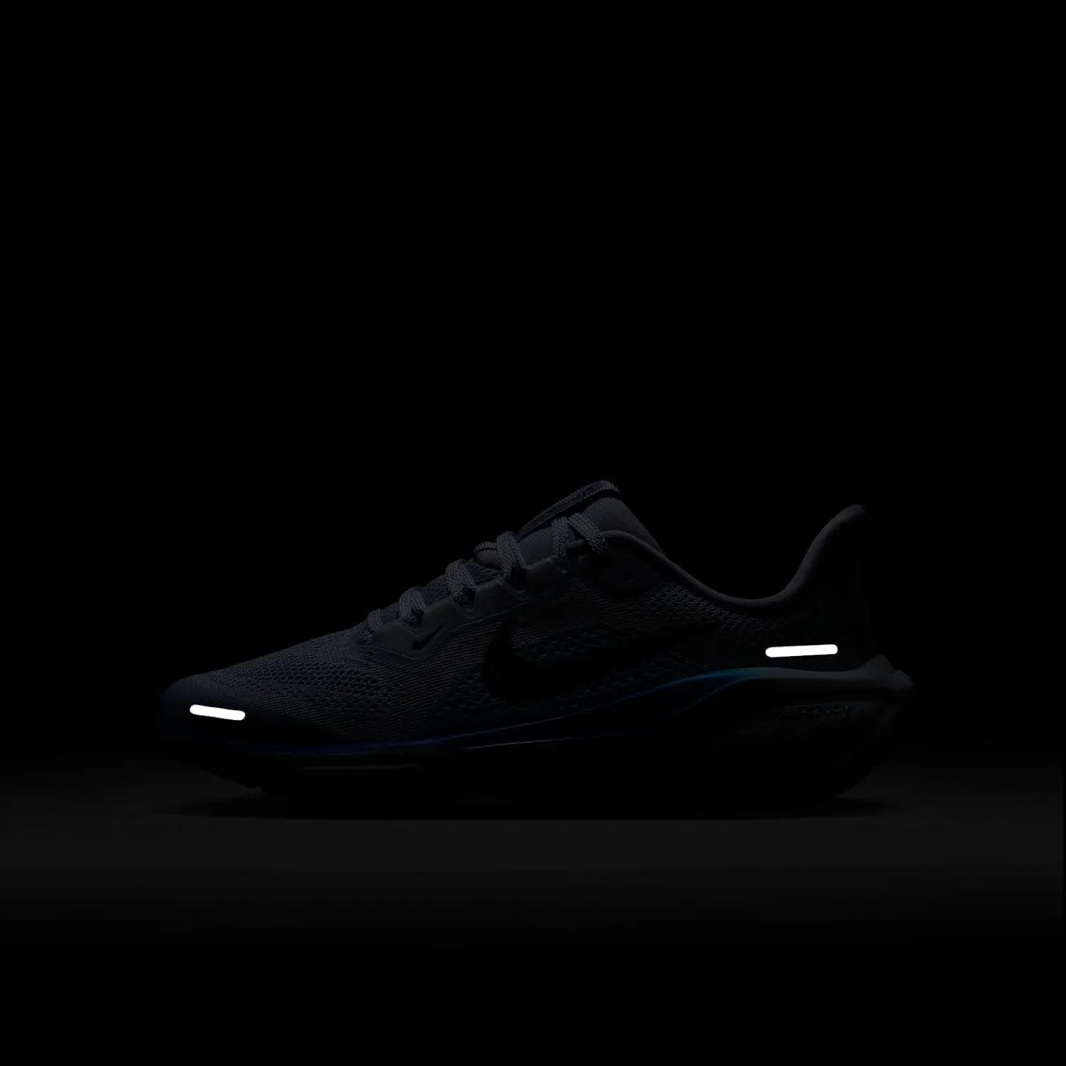 Nike Unisex-Child Pegasus 41 (Little Big Kid) Sneaker