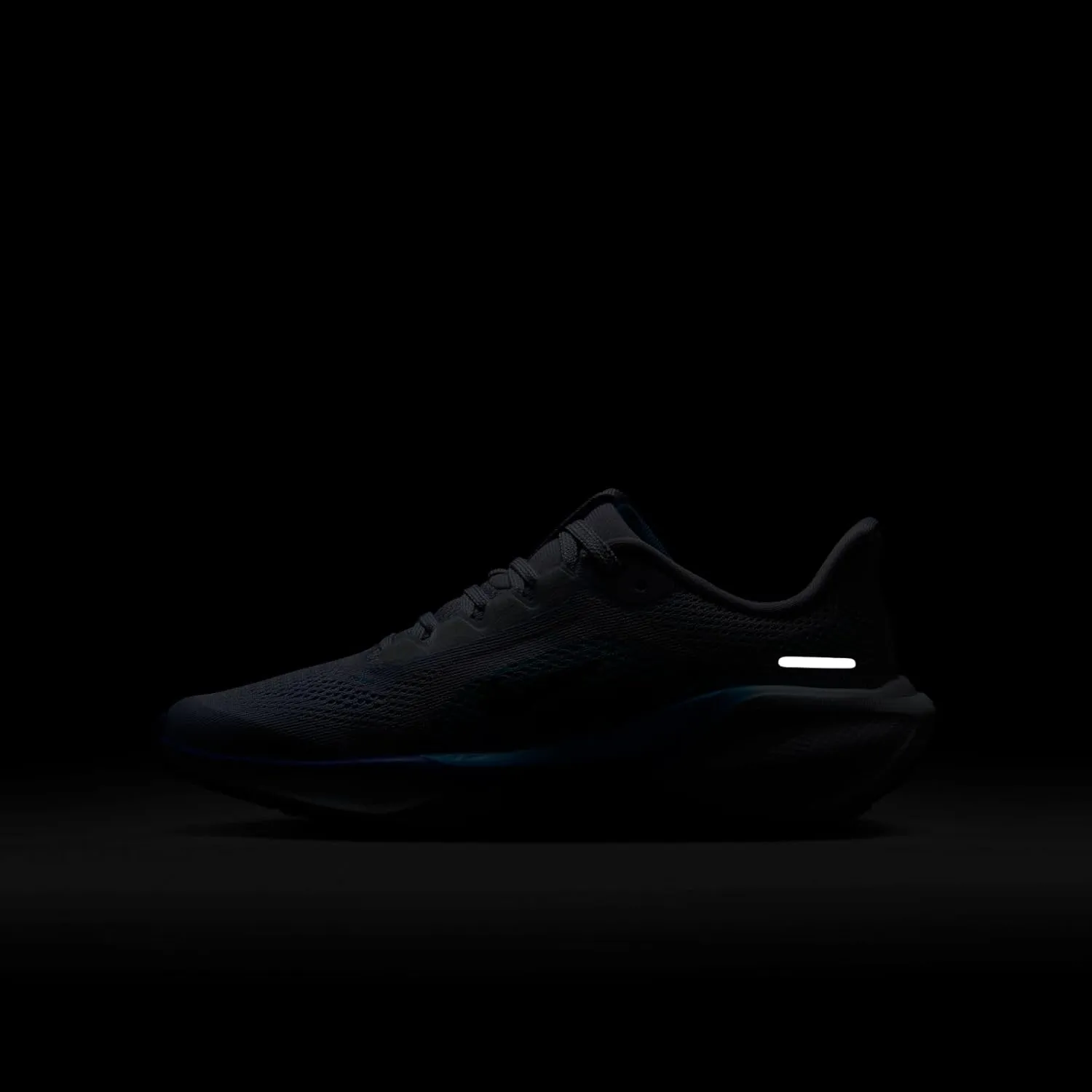 Nike Unisex-Child Pegasus 41 (Little Big Kid) Sneaker