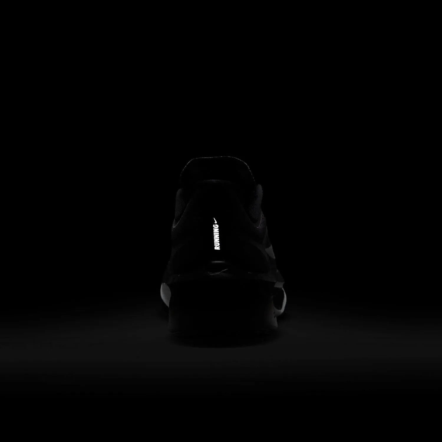 Nike Women's Laced Shoes