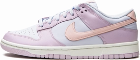Nike W Dunk Low Unisex Adult Basketball Shoes