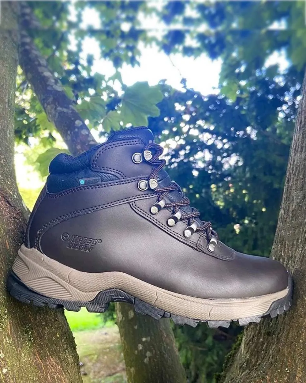 Shoes Hi-Tec Hi-Tec Ladies Eurotrek Lite Waterproof Boots