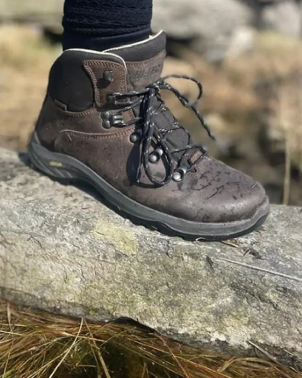 Shoes Hi-Tec Hi-Tec Mens Ravine Pro Boots