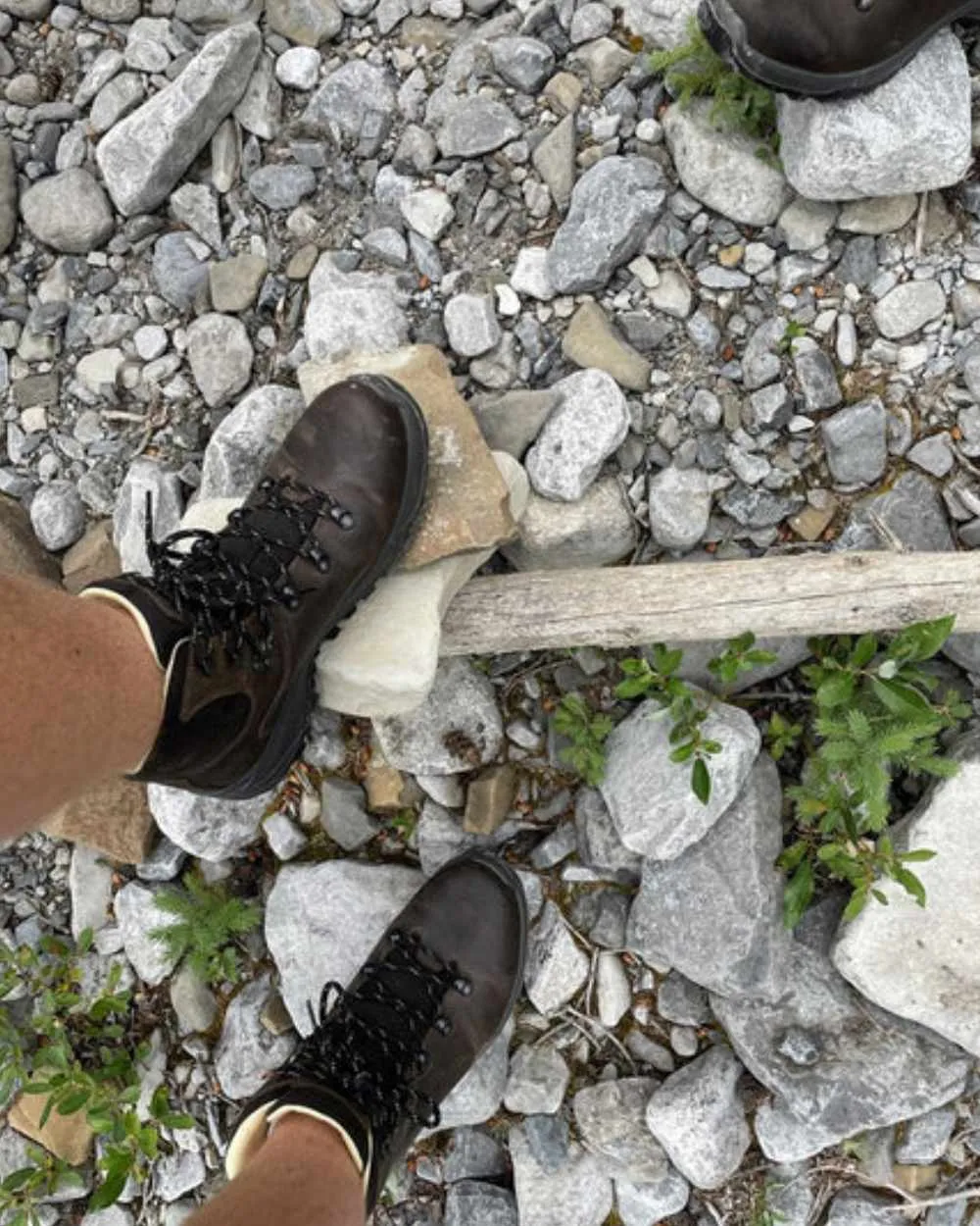 Shoes Hi-Tec Hi-Tec Mens Ravine Pro Boots