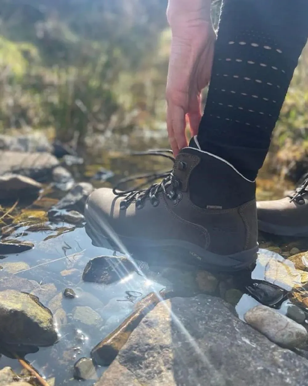 Shoes Hi-Tec Hi-Tec Womens Ravine Pro Boots