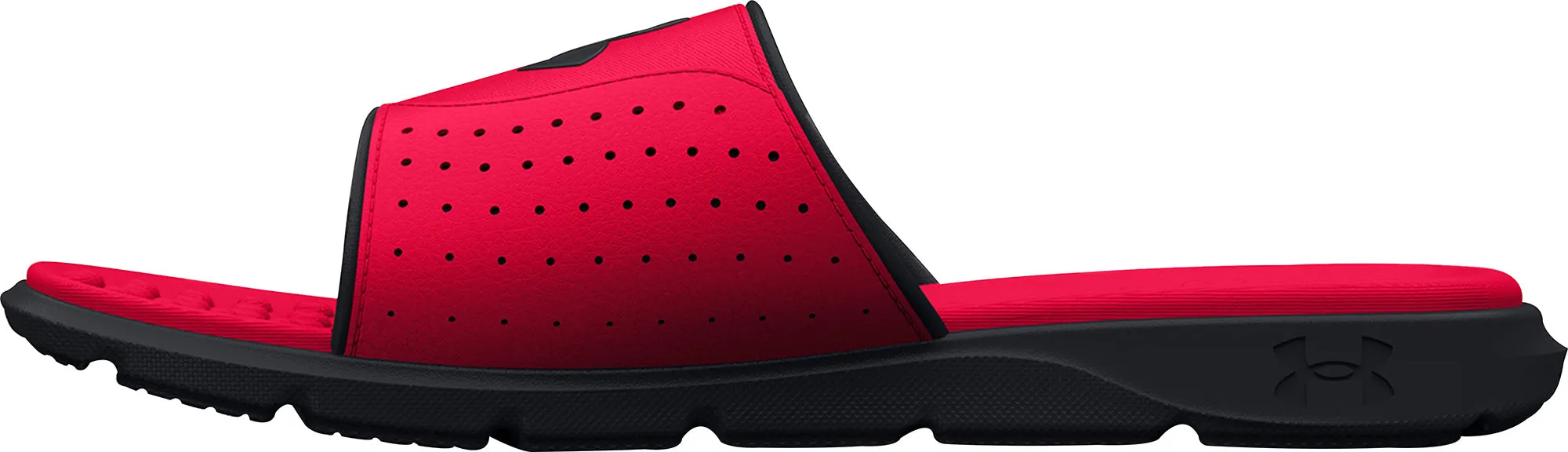 Shoes Under Armour Under Armour Ignite Pro Sliders - Red