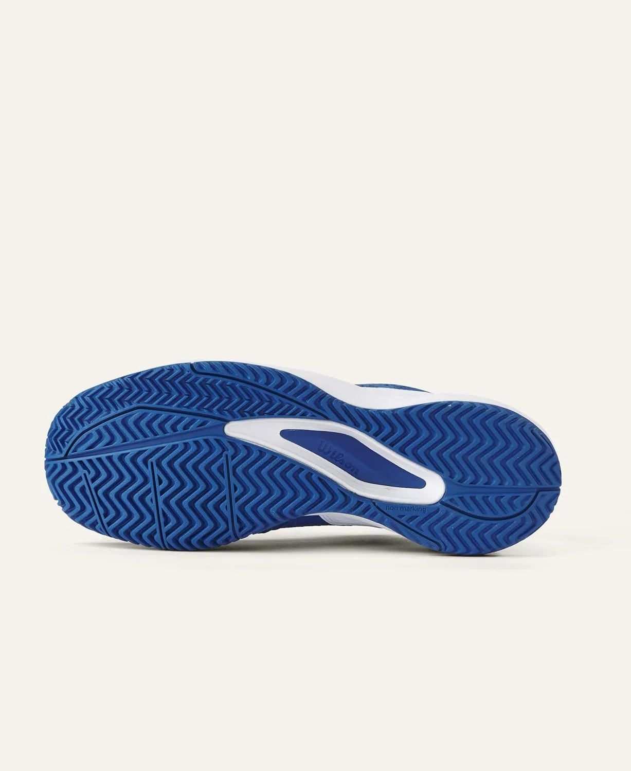 WILSON Men's Rush Pro Ace Pickler Pickleball Shoes